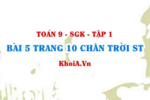 Bài 5 trang 10 Toán 9 Chân trời sáng tạo Tập 1